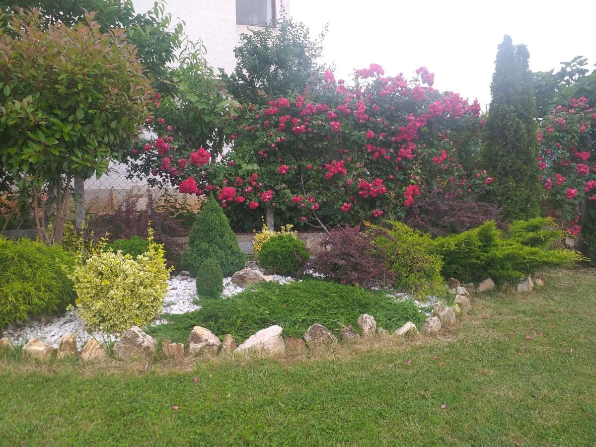 Villa Silva Οχρίδα Εξωτερικό φωτογραφία