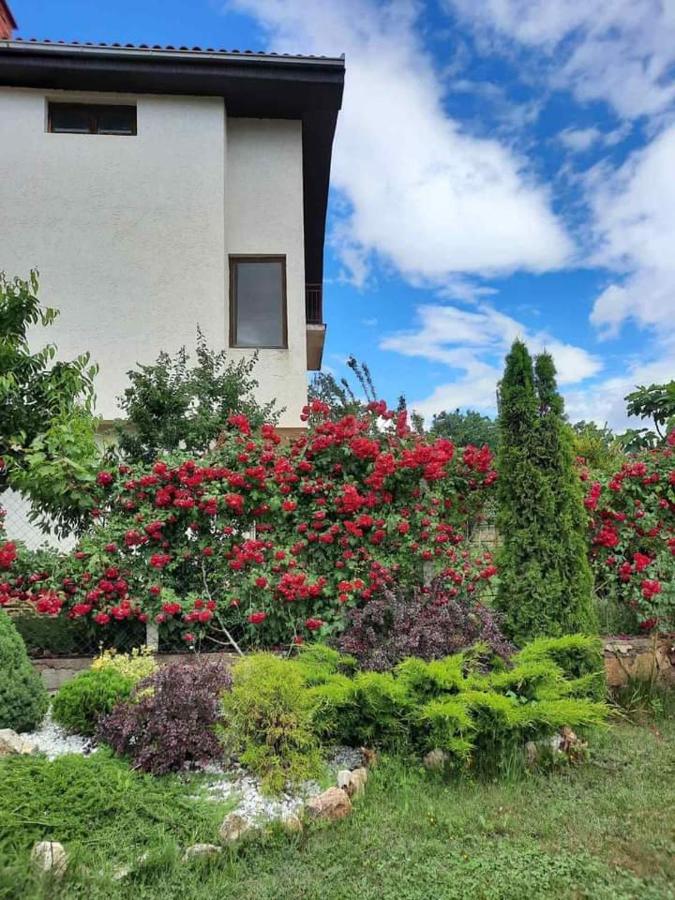 Villa Silva Οχρίδα Εξωτερικό φωτογραφία