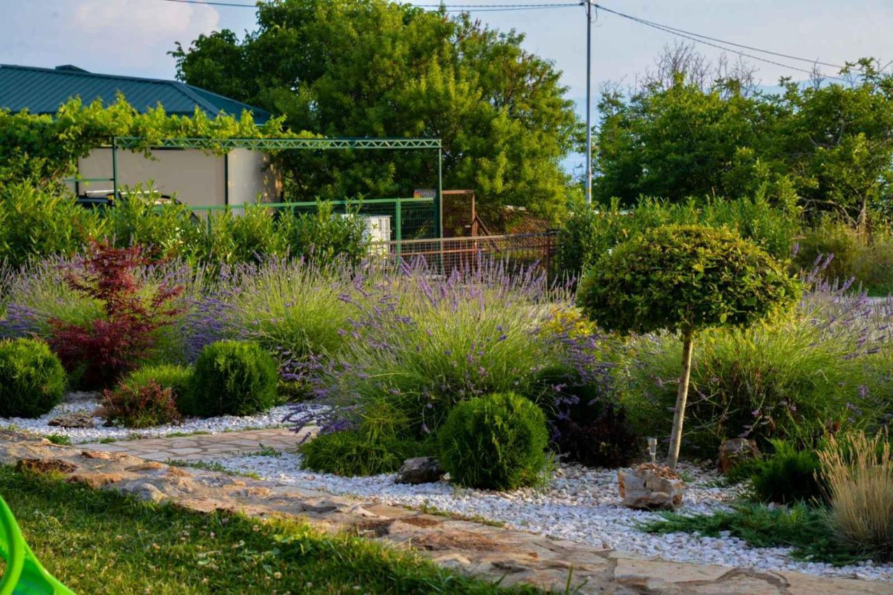 Villa Silva Οχρίδα Εξωτερικό φωτογραφία