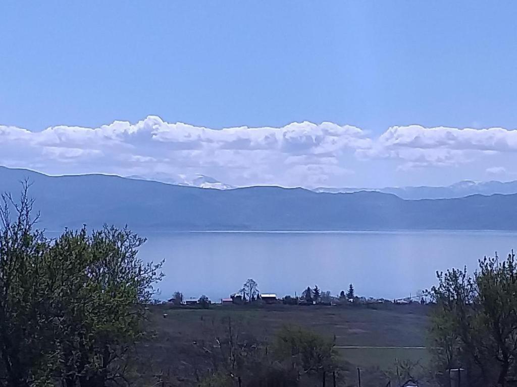Villa Silva Οχρίδα Εξωτερικό φωτογραφία